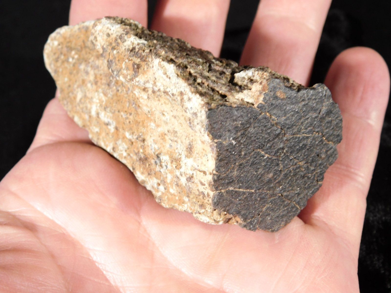 Classified NWA 8245 METEORITE Spots of Dark Fusion Crust! Erfoud, Morocco 136gr