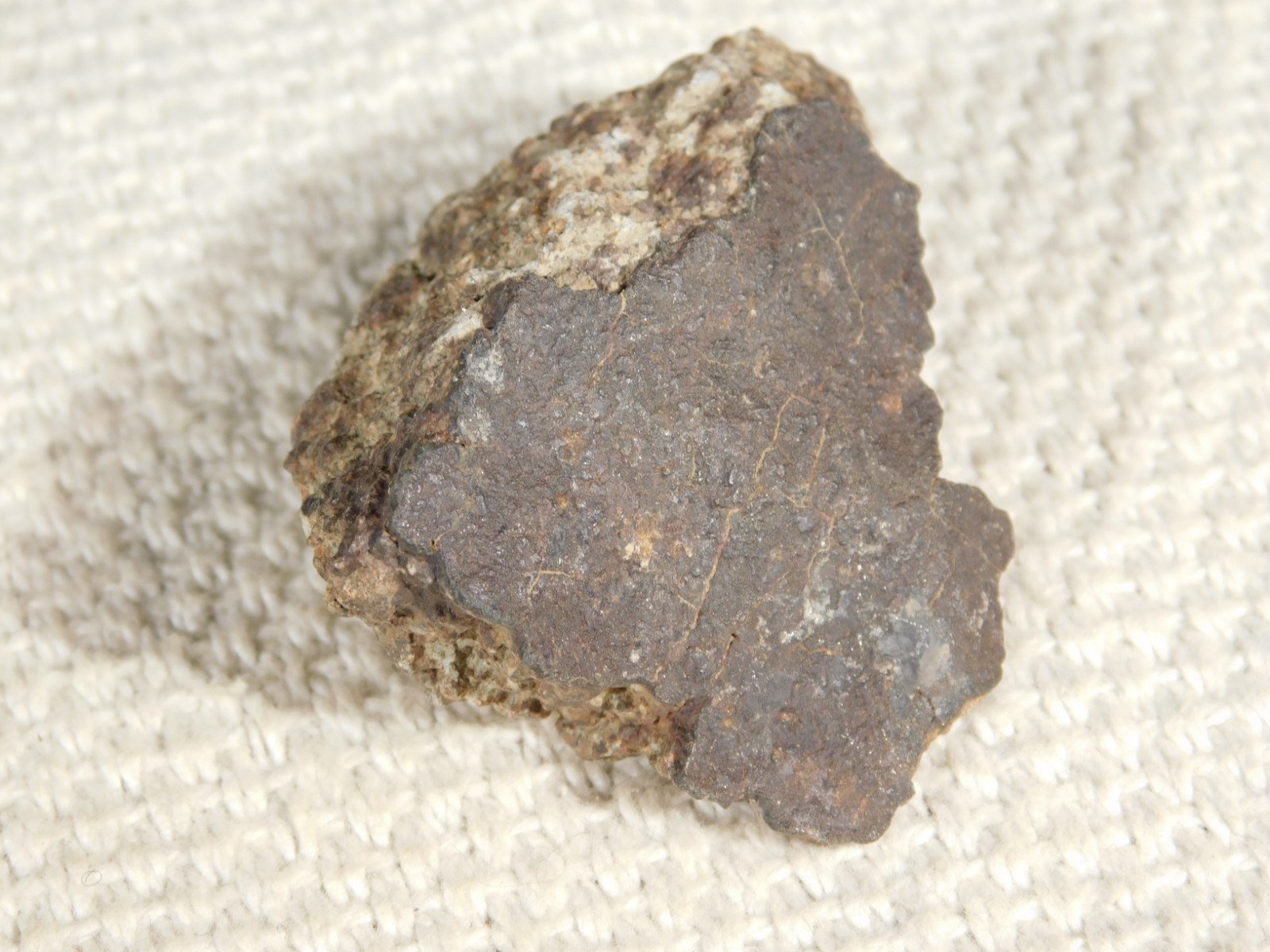Classified NWA 8245 METEORITE 100% Natural FELL on Erfoud, Morocco 47.3gr