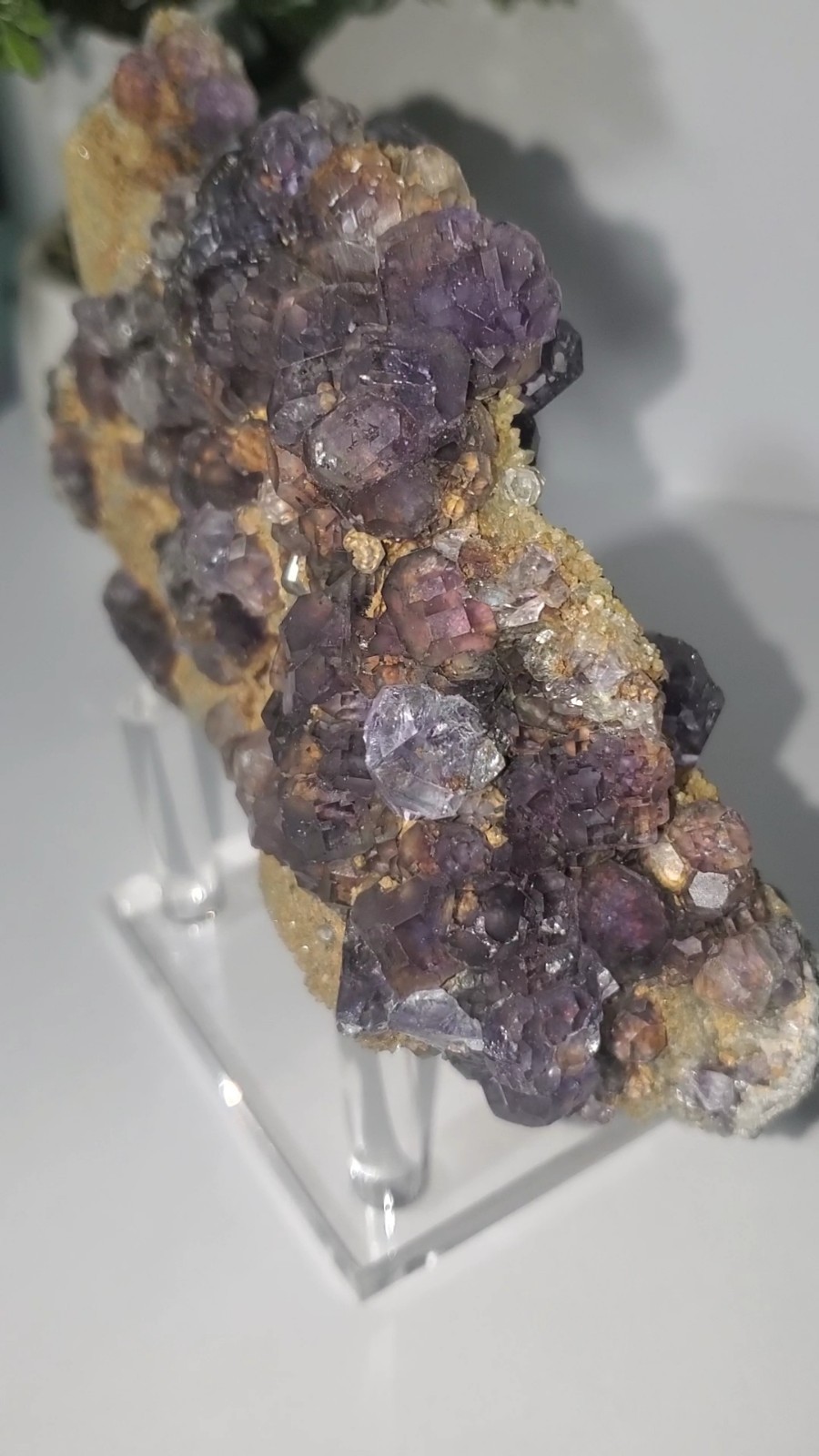 Tanzanite Fluorite On tan-colored quartz-rich matrix Statement PEACE 1KG 210G