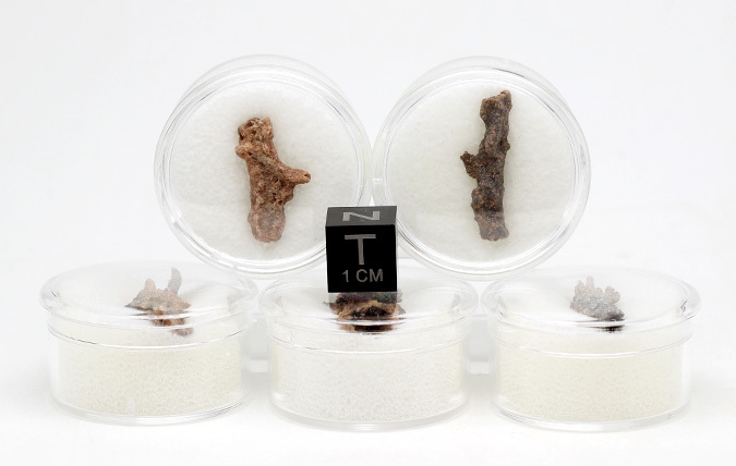 FULGURITE LIGHTNING GLASS FUSED SAND Desert Specimen SAHARA DESERT w/ ID card