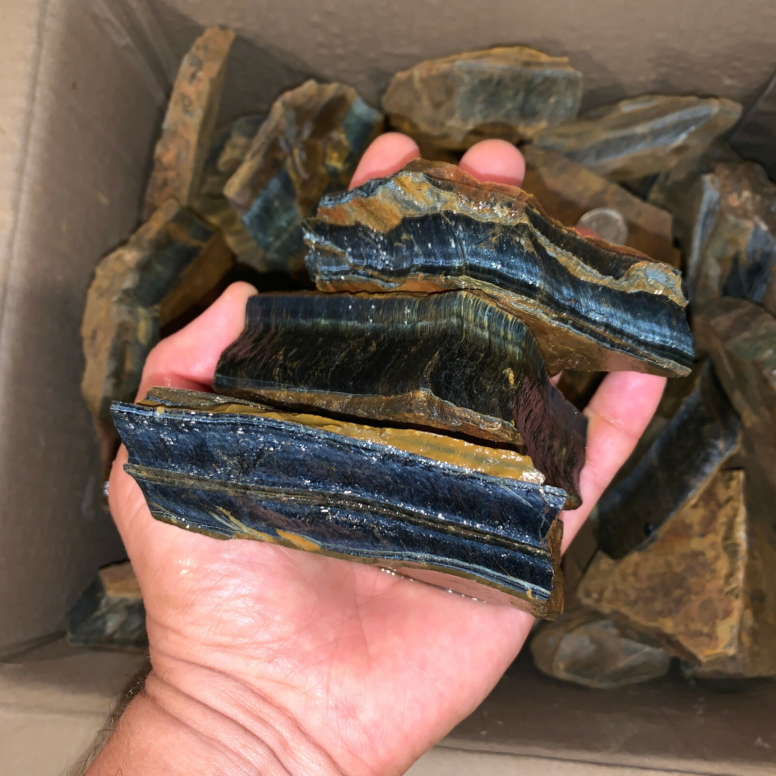 LARGE BLUE Tiger Eye Rough – 5,000 Carat Lot + a FREE Faceted Gemstone (V. RARE)
