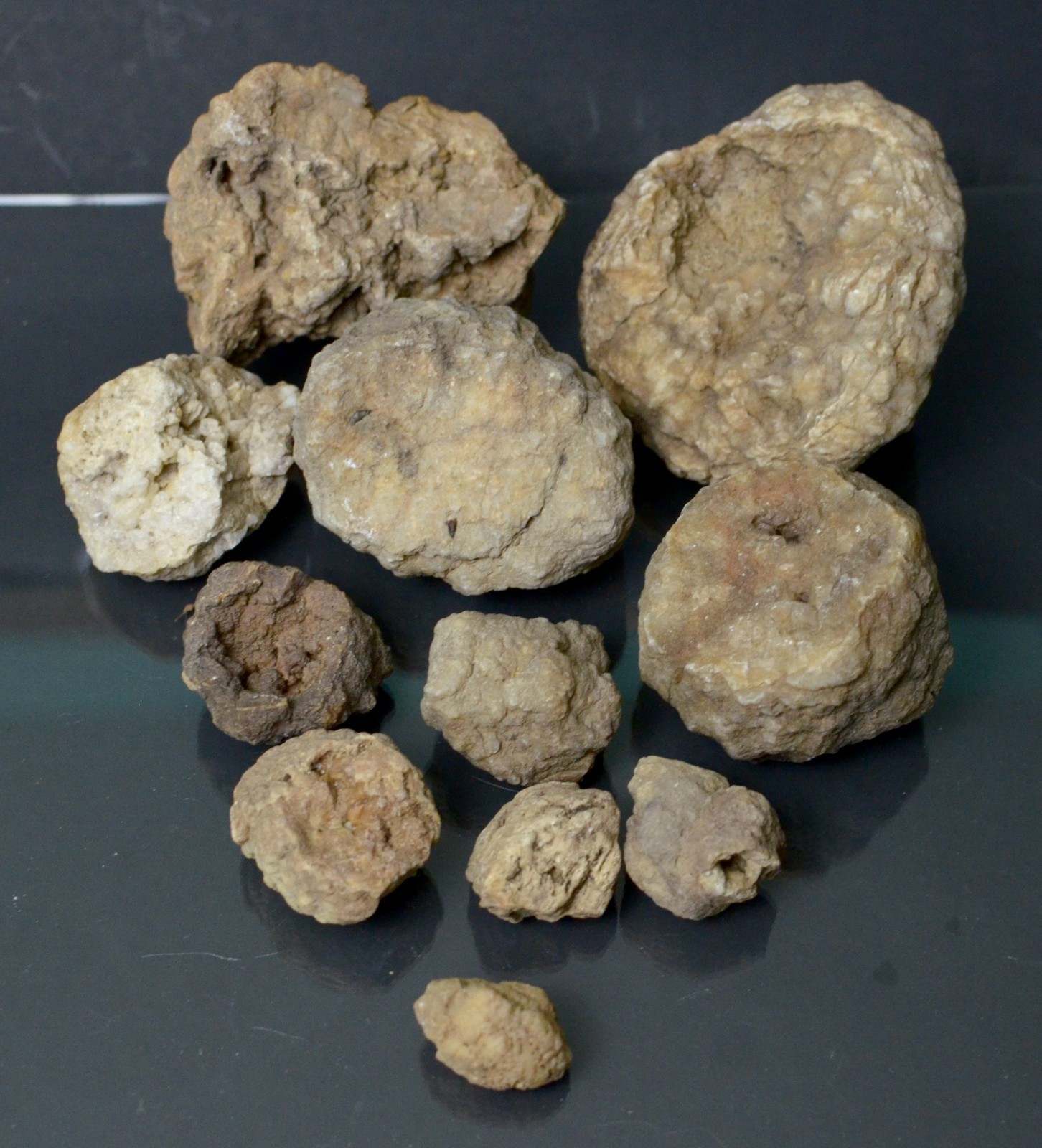 Lot of Kentucky Beekite Geodes | Unique Botryoidal Chalcedony