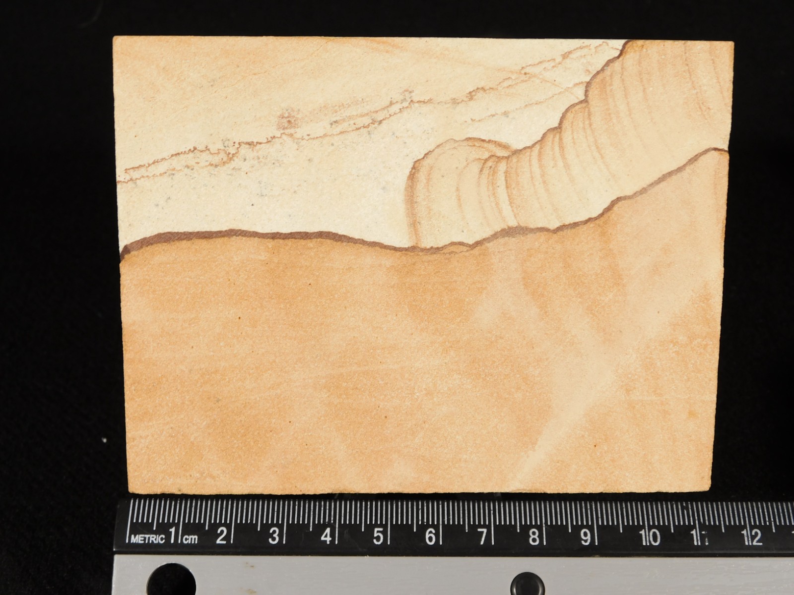 PICTURE Stone or SANDSTONE Slab with Display Stand From Utah 260gr