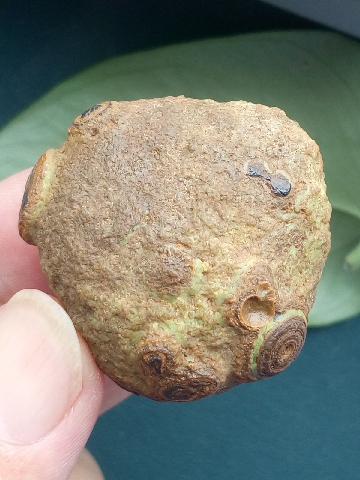 36mm/40g Natural Gobi agate eye agate stone collection