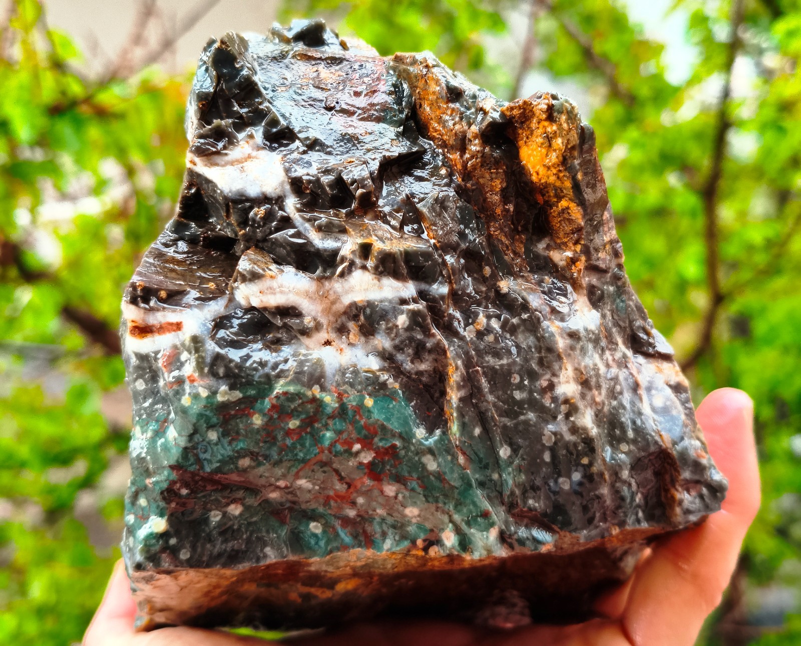 5 Lb 9.3 Oz Raw Heliotrope Jasper Bloodstone *Wet Shot*