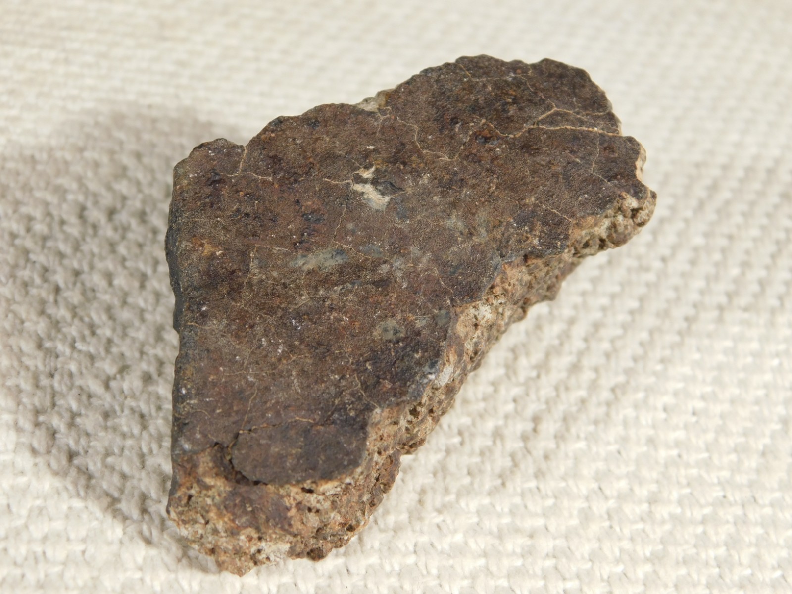 Classified NWA 8245 METEORITE 100% Natural FELL on Erfoud, Morocco 114gr