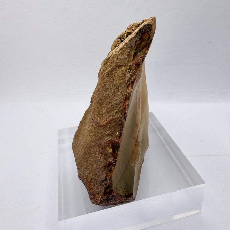 OWYHEE Picture Jasper End Cut Polished Display Stone Oregon USA