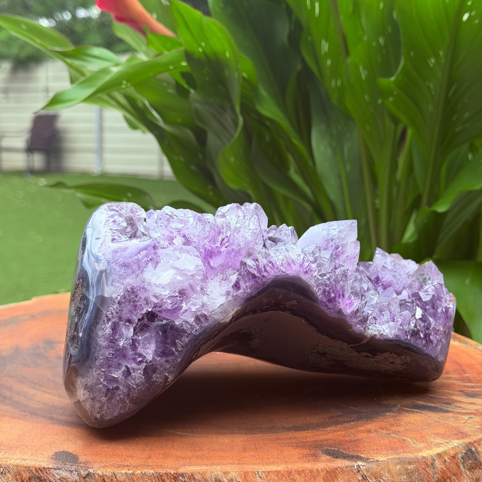 Massive Museum Grade Amethyst Geode Specimen 3.49kg Serra do Sol Brazil