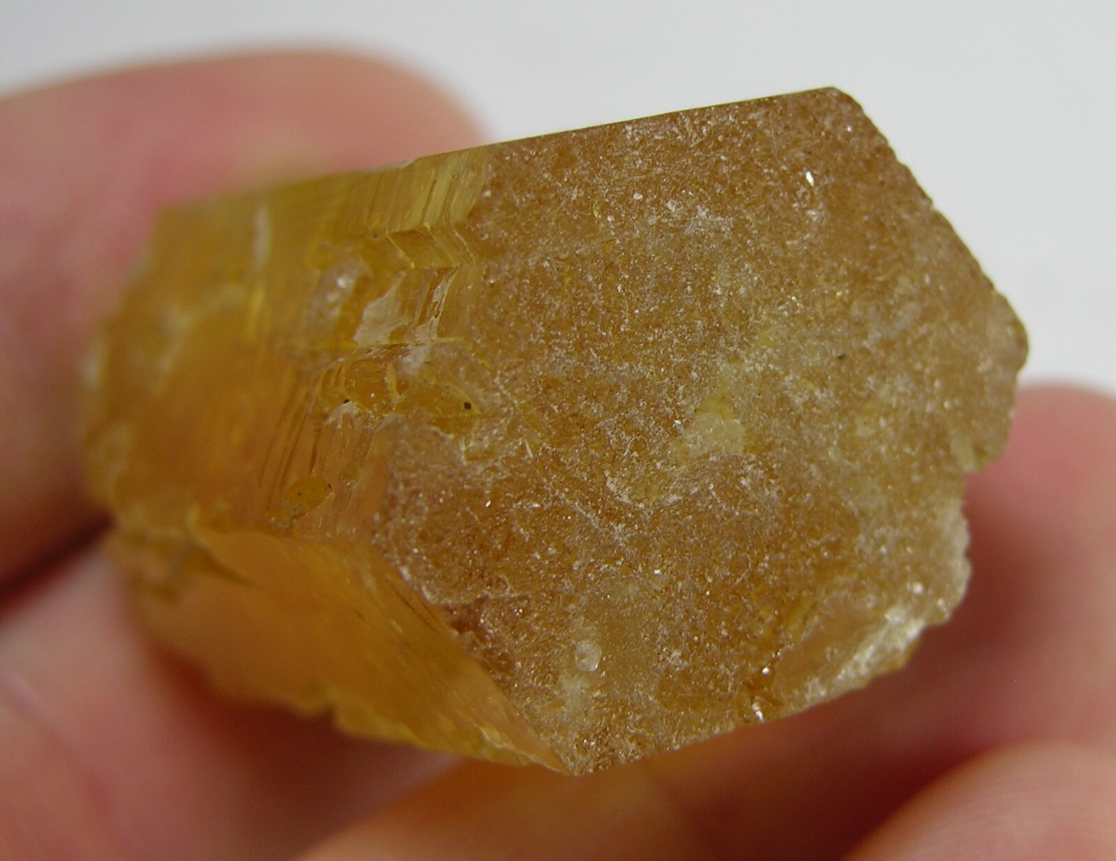 162.25ct Pakistan Terminated Raw Rough Beryl Heliodor Crystal Specimen 32g 36mm