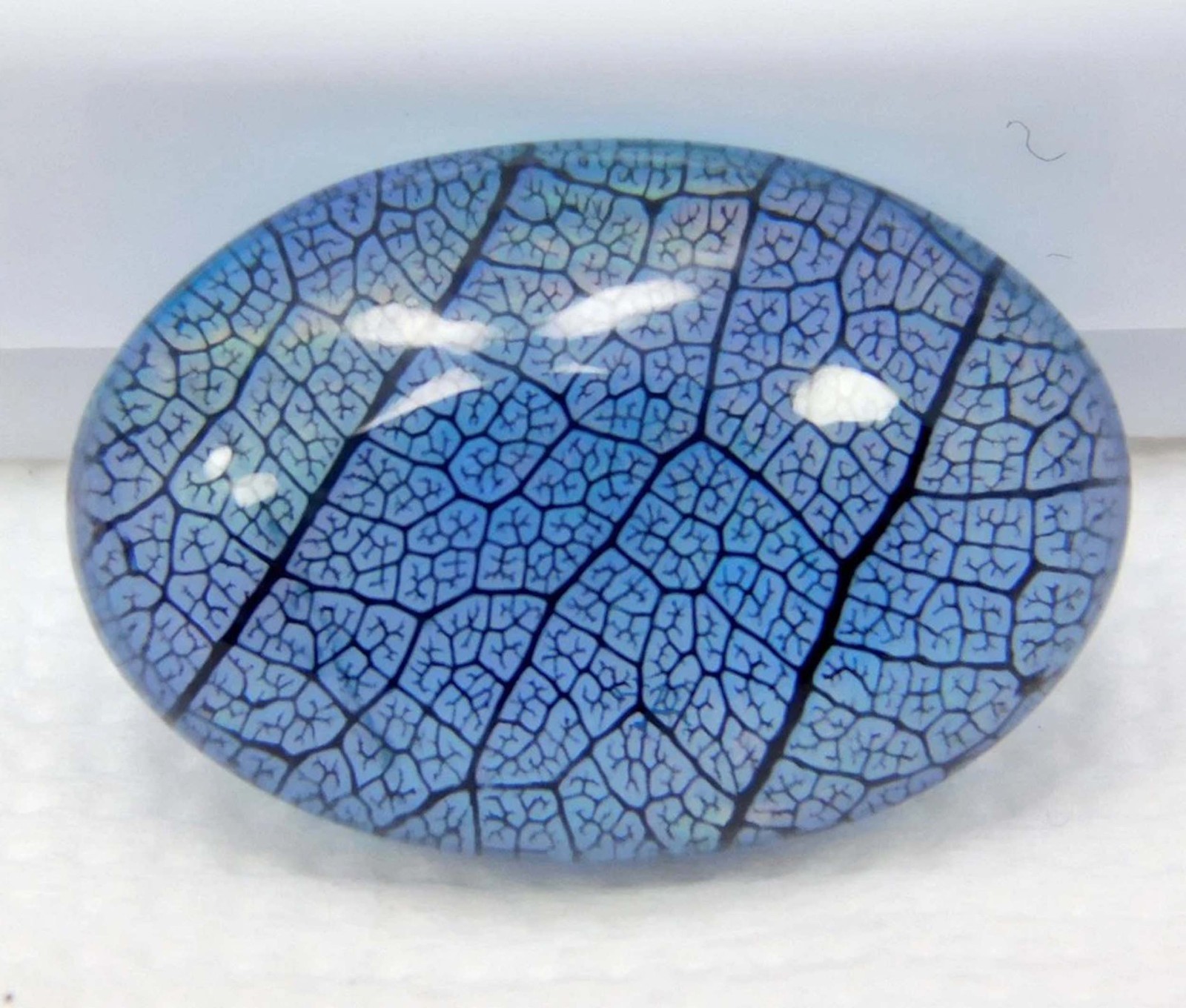 Oval IGL 7.85 Ct Natural Aurora Blue Fire Opal Doublet Rainbow Color Gems 5SJC