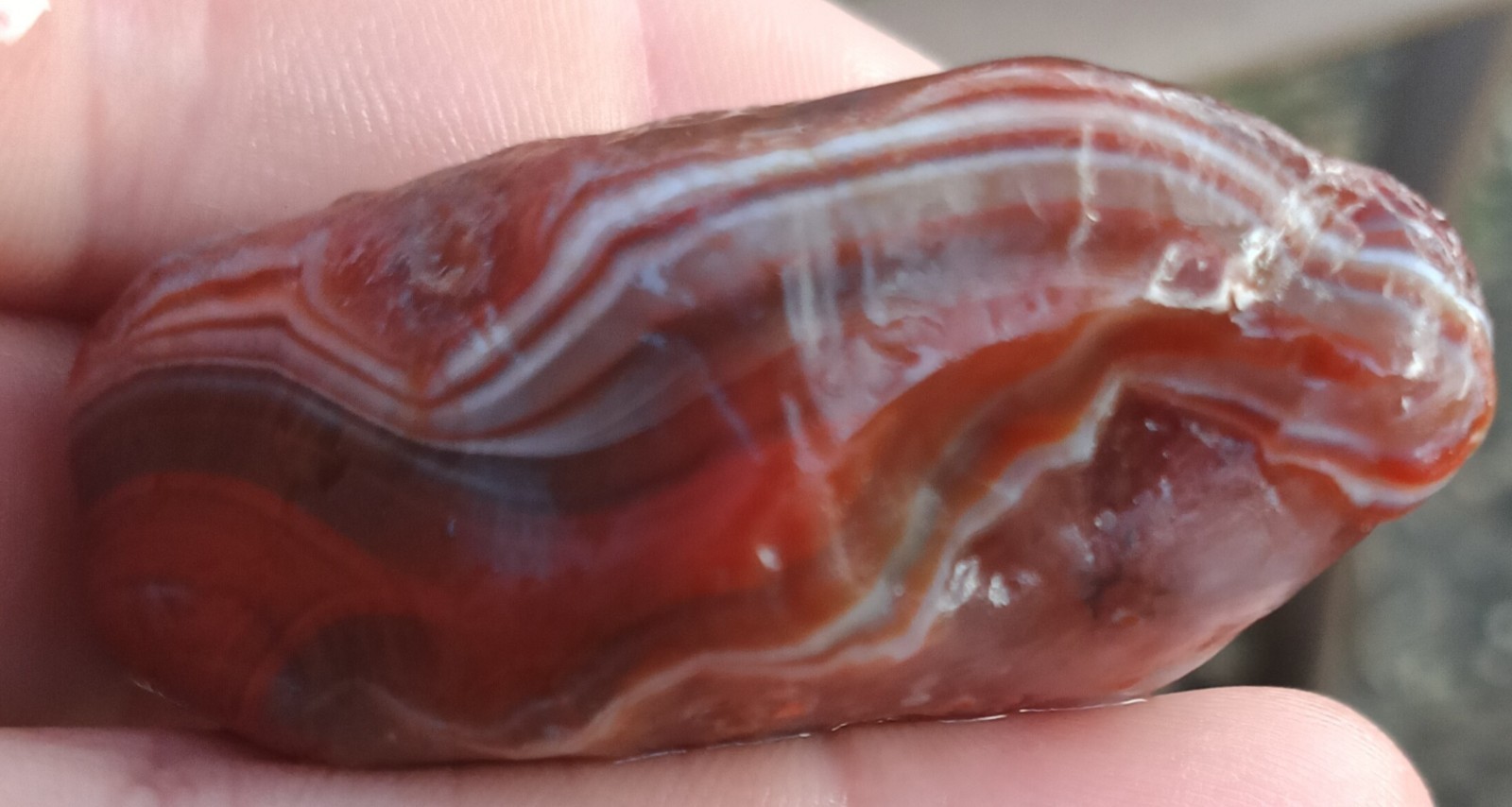 Lake Superior Agate Minnesota