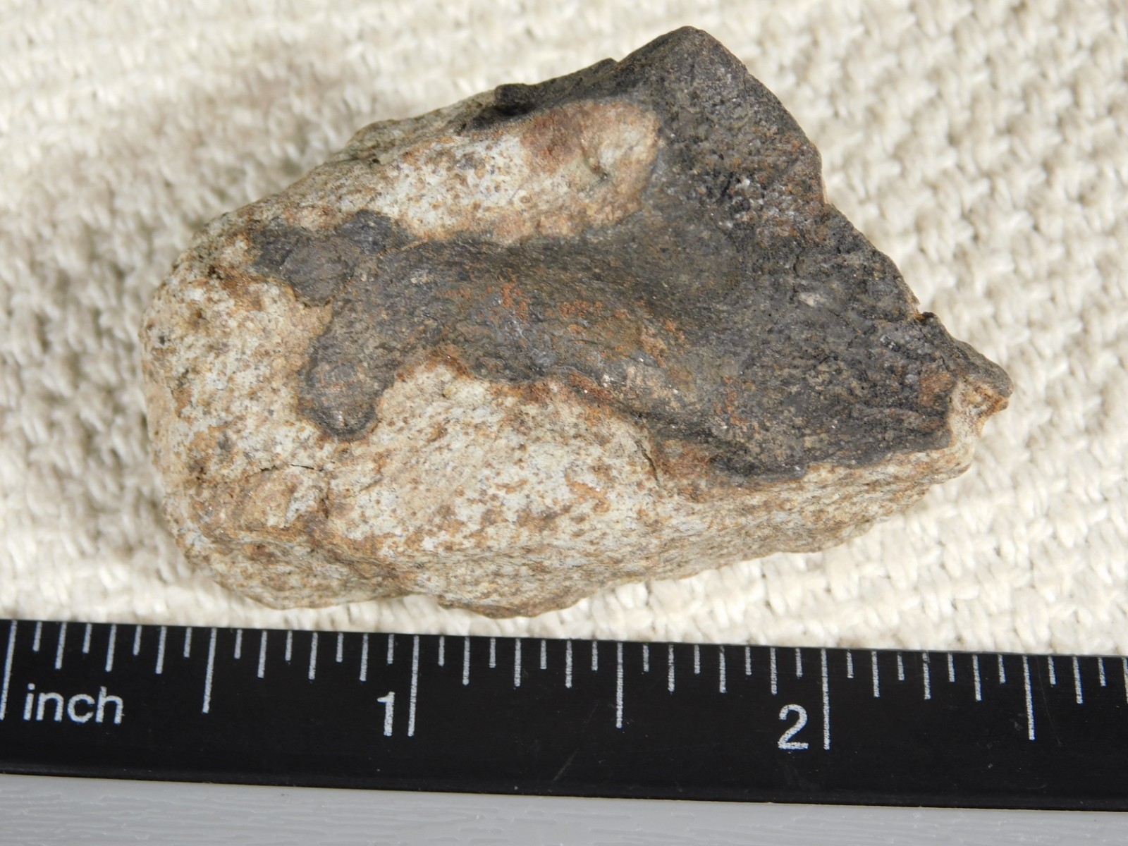 Classified NWA 8245 METEORITE 100% Natural FELL on Erfoud, Morocco 68.1gr