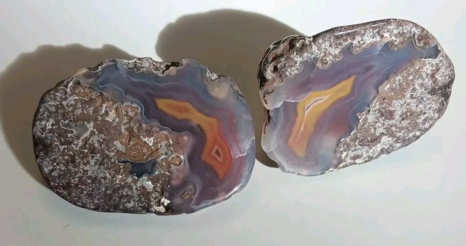 2 Matching Condor Agate Nodule Halves Glass Polish Blue/Grey Red Yellow Bands A+