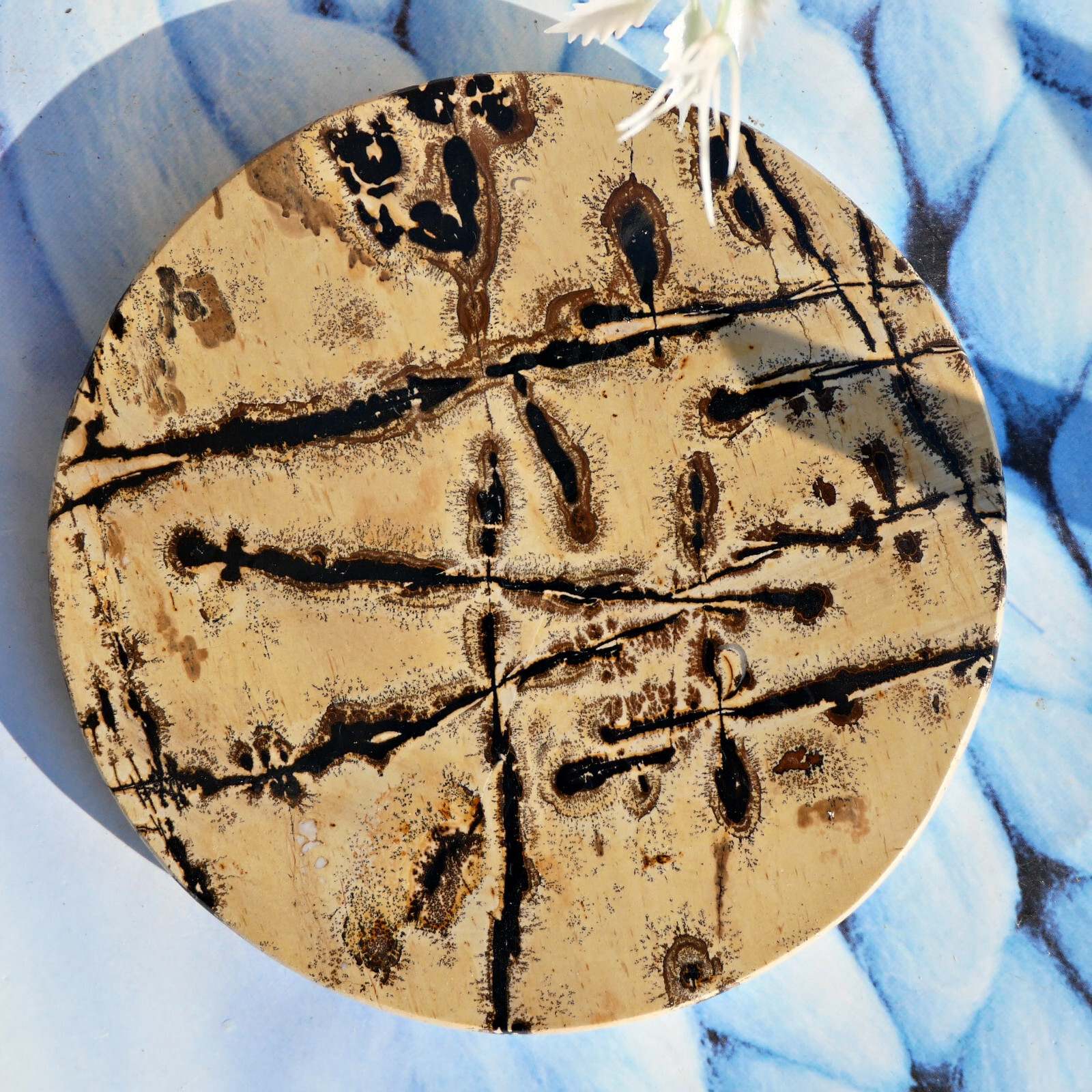 Natural Picture Jasper Landscape Slice 4.7″Large Crystal Display Art Stone Decor