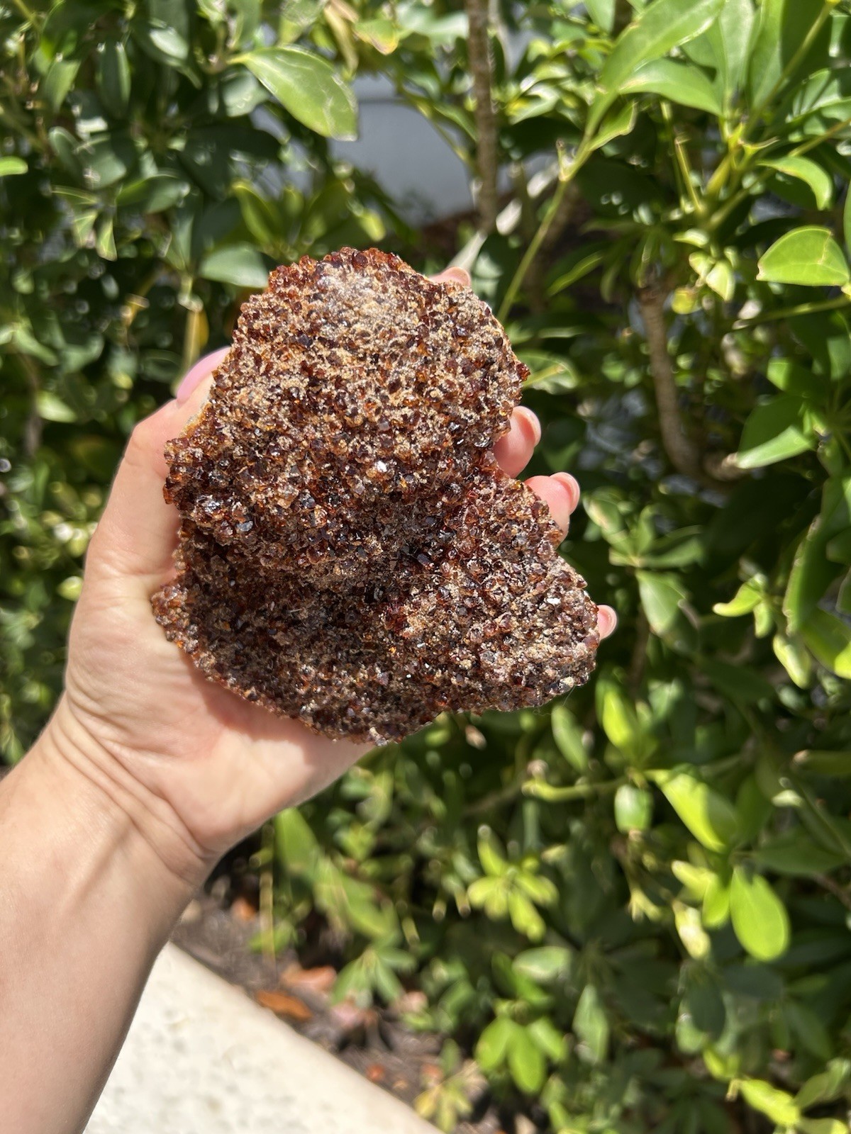 Natural Citrine Crystal Cluster – Sparkling Druzy Honey Quartz Specimen