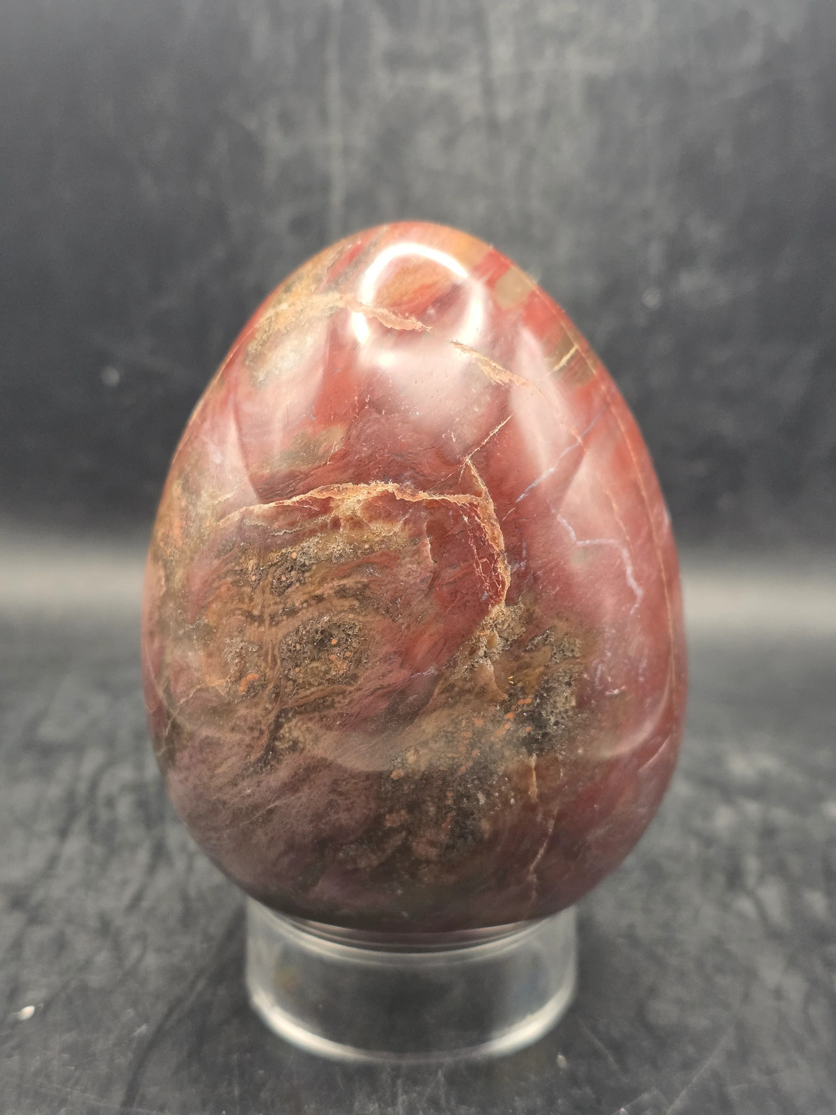 Petrified wood egg! 1.4 pounds! 3.5 inches tall, 2.7″ wide