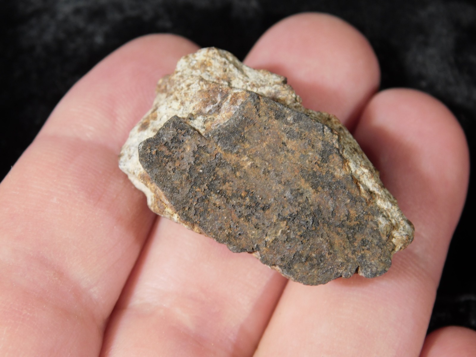 Classified NWA 8245 METEORITE Spots of Dark Fusion Crust! Erfoud, Morocco 21.0gr