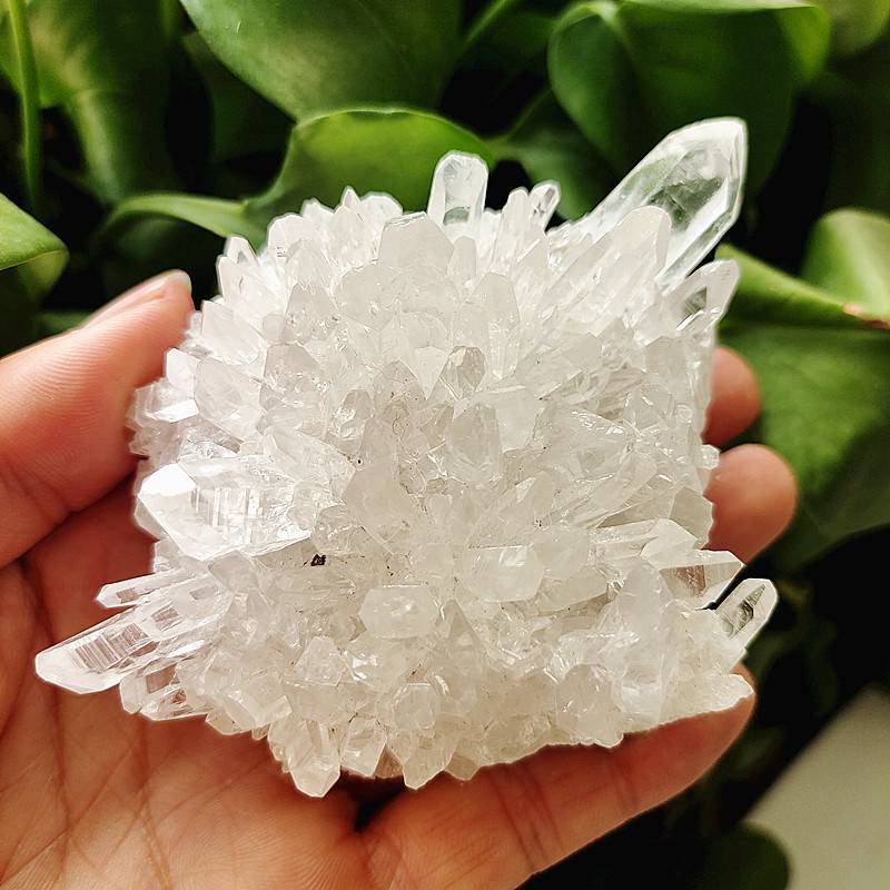 150g Natural Clear Quartz Crystal Cluster Mineral Druzy Geode Gemstone Specimens