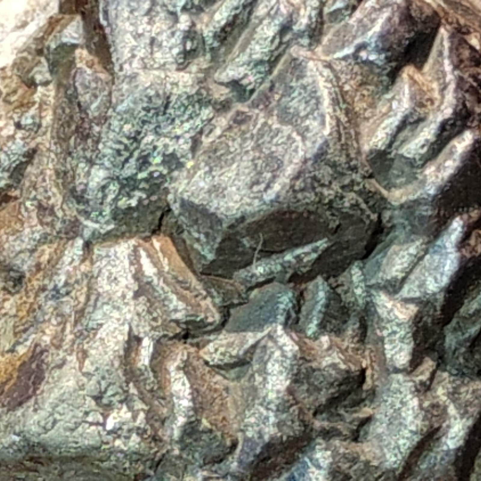 Iron Pyrite After Marcasite w/ Barite Galena Hematite Old Leadbelt of MO 297g