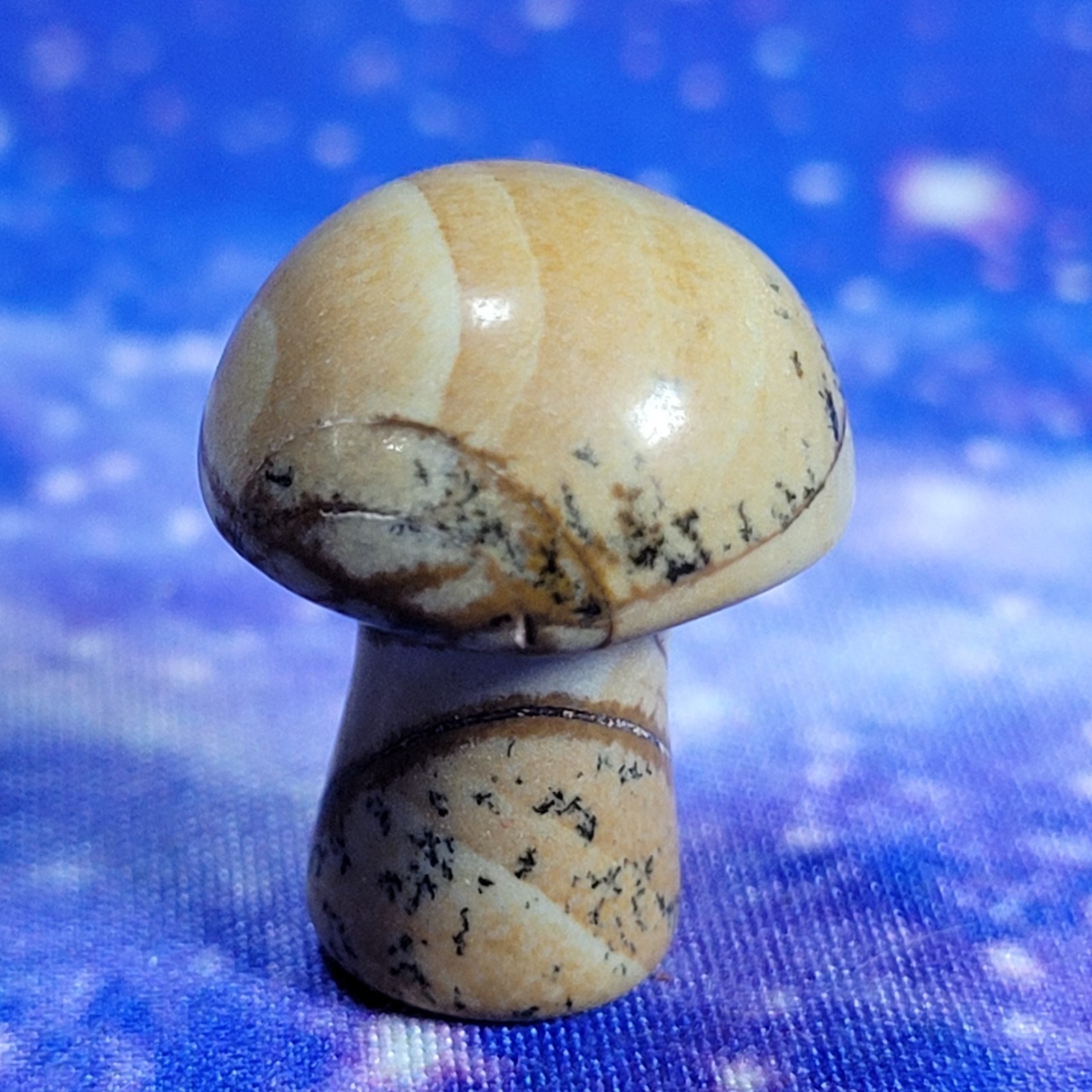 3 Magic Mushroom Carvings: Moss Agate/Picture Jasper/Serpentine 20mm w/Display