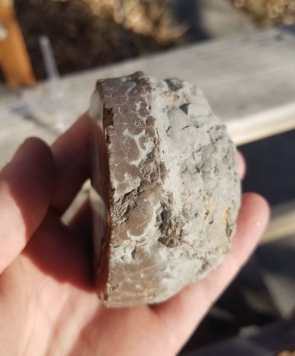 Nice Richardson Ranch Thunder Egg Geode 3″ Polished Half Specimen Opaque Banding