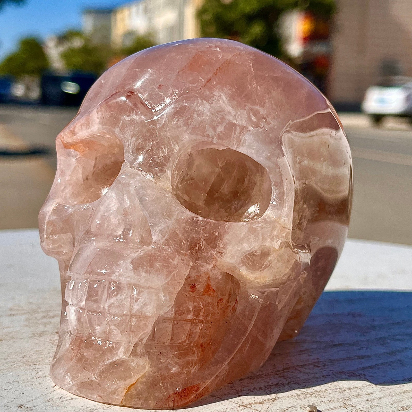 2.71LB Natural dreamy red gum flower skull hand carved skull healing