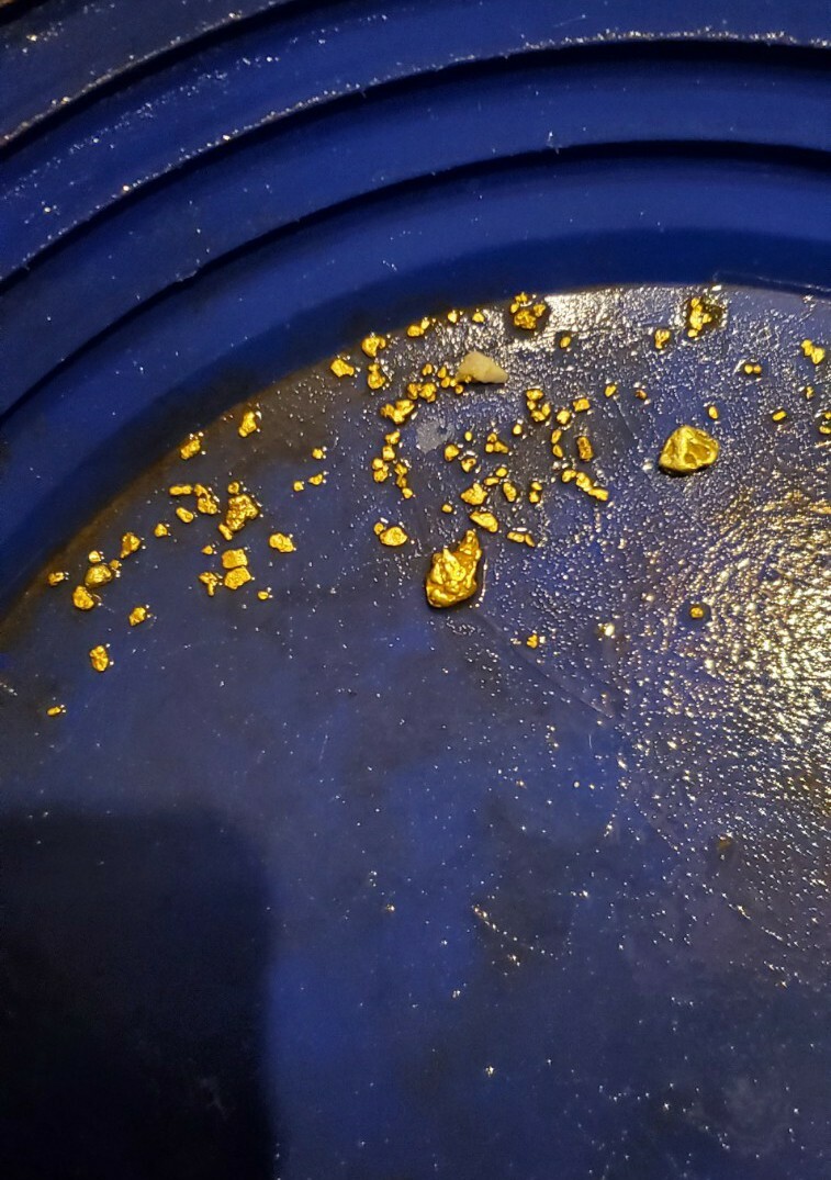 1 GRAM BONUS NUGGETS California Gold Panning Paydirt Trommel Concentrates