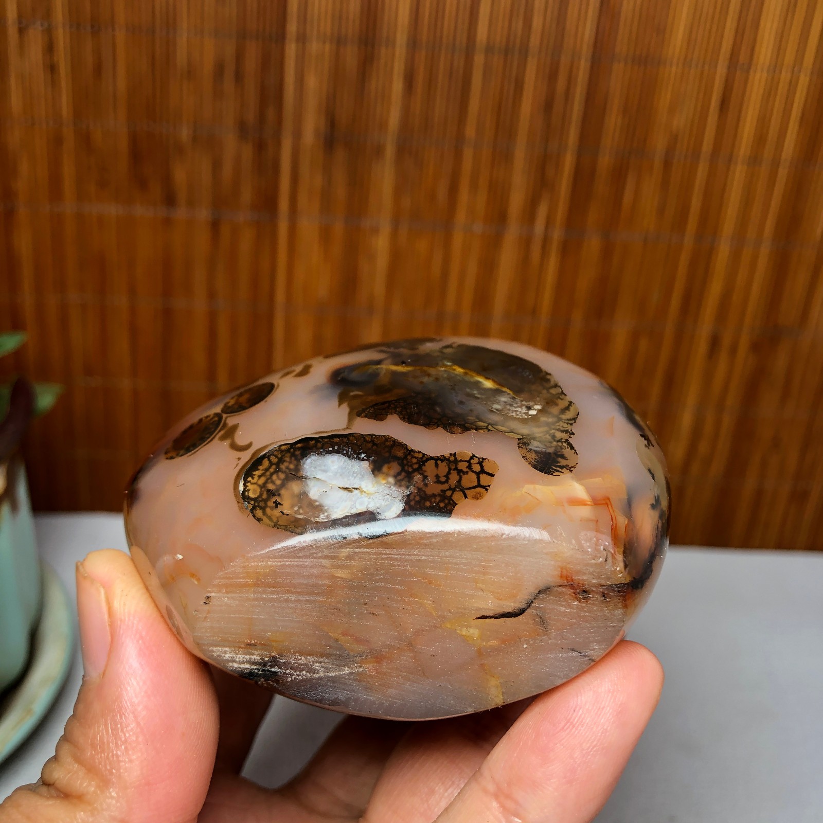 Natural aquatic plants agate pretty Crystal specimens free standing 331g A9998
