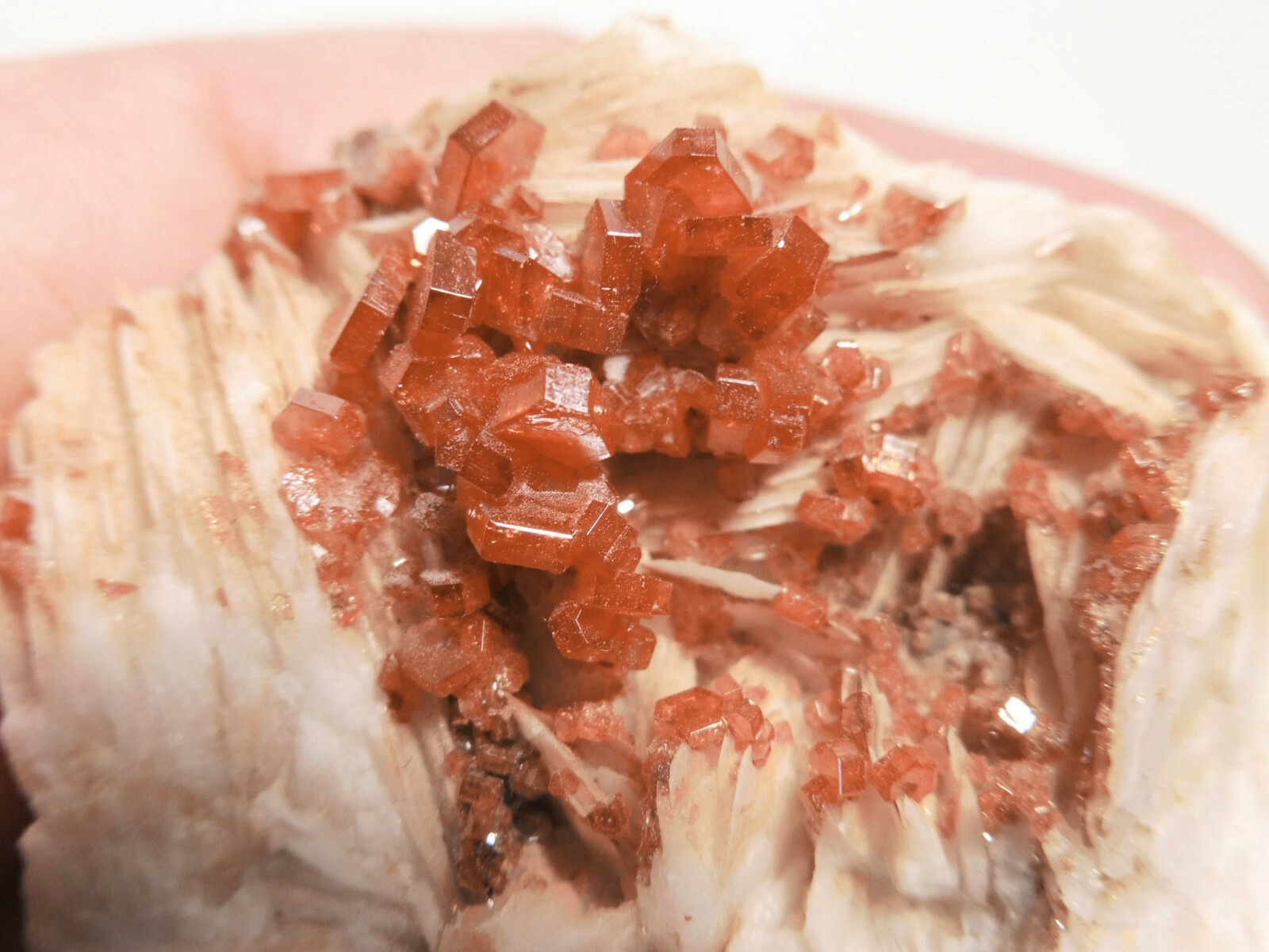 Lustrous Vanadinite on Barite, Mibladen, Midelt, Morocco, 2.0” x 1.7” x 0.8”