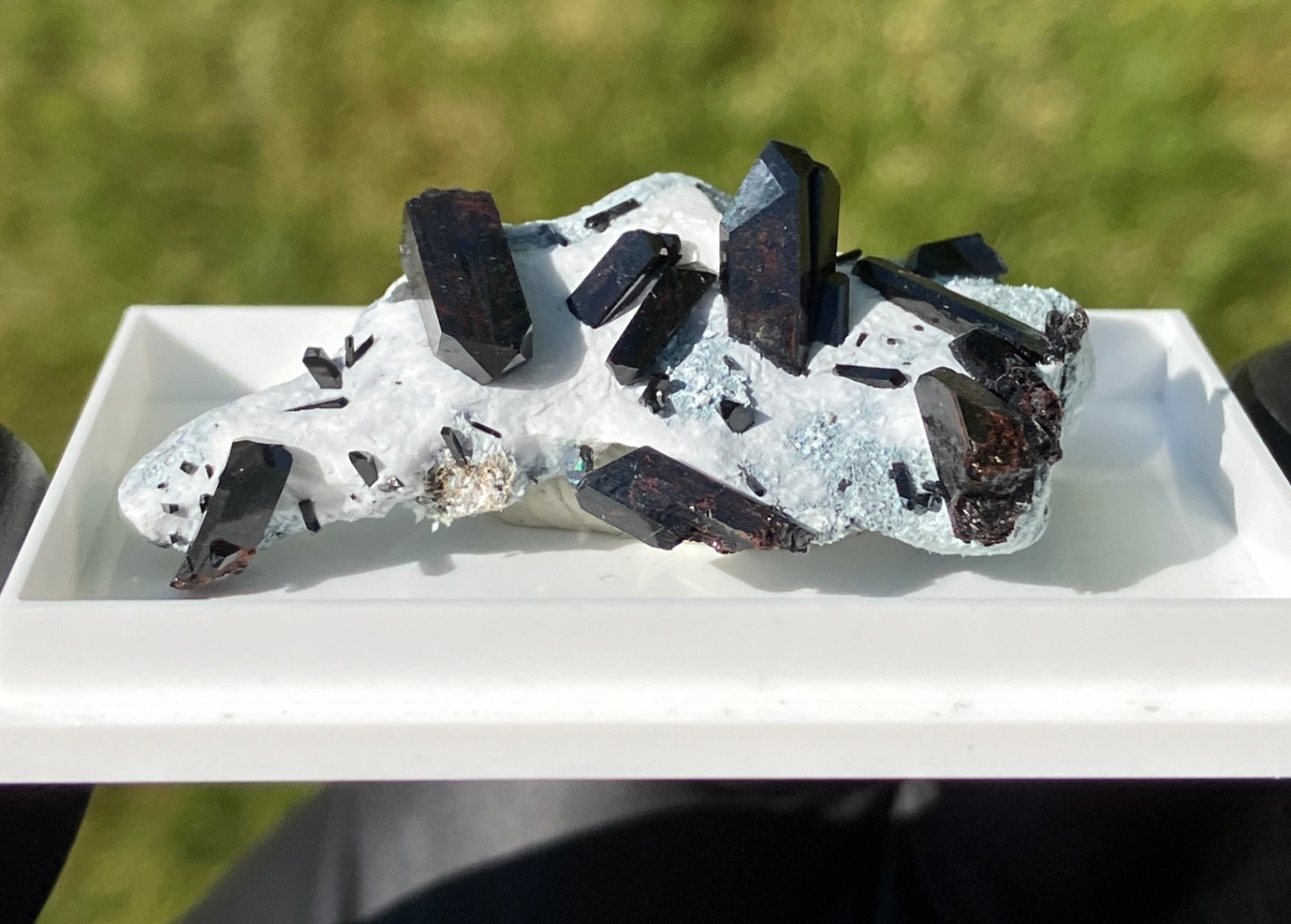 Neptunite Benitoite Mine, New Idria District, San Benito County, California, USA