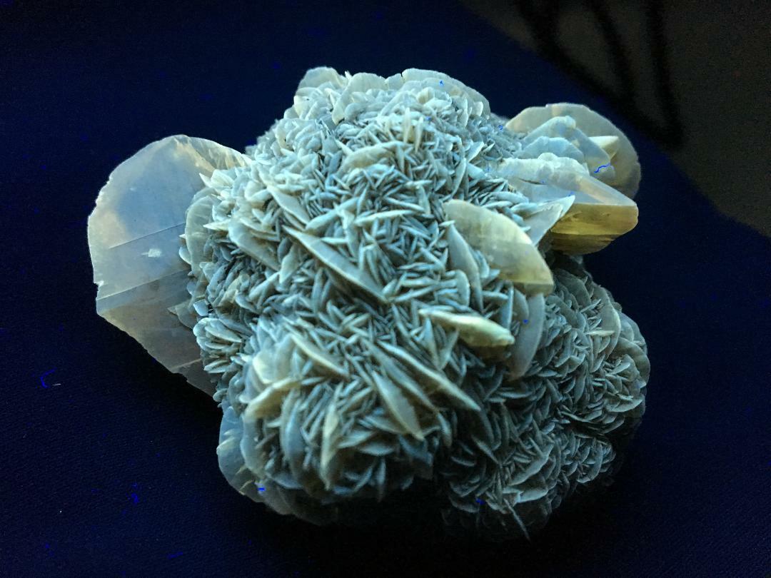 KB: BRIGHT FL. YELLOW/WHITE SW/LW/PHOS. GYPSUM XLS. FROM CANADA