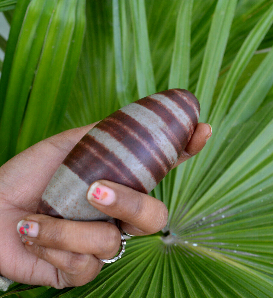 Shiva Lingam Polished Stone | Narmarda River Stone -1126
