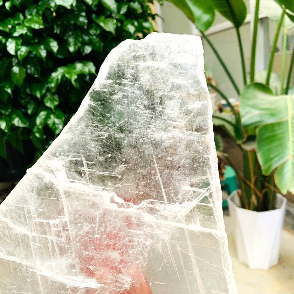 3.59LB Natural Clear Transparent Selenite Slab Gypsum Crystal Mineral Specimen