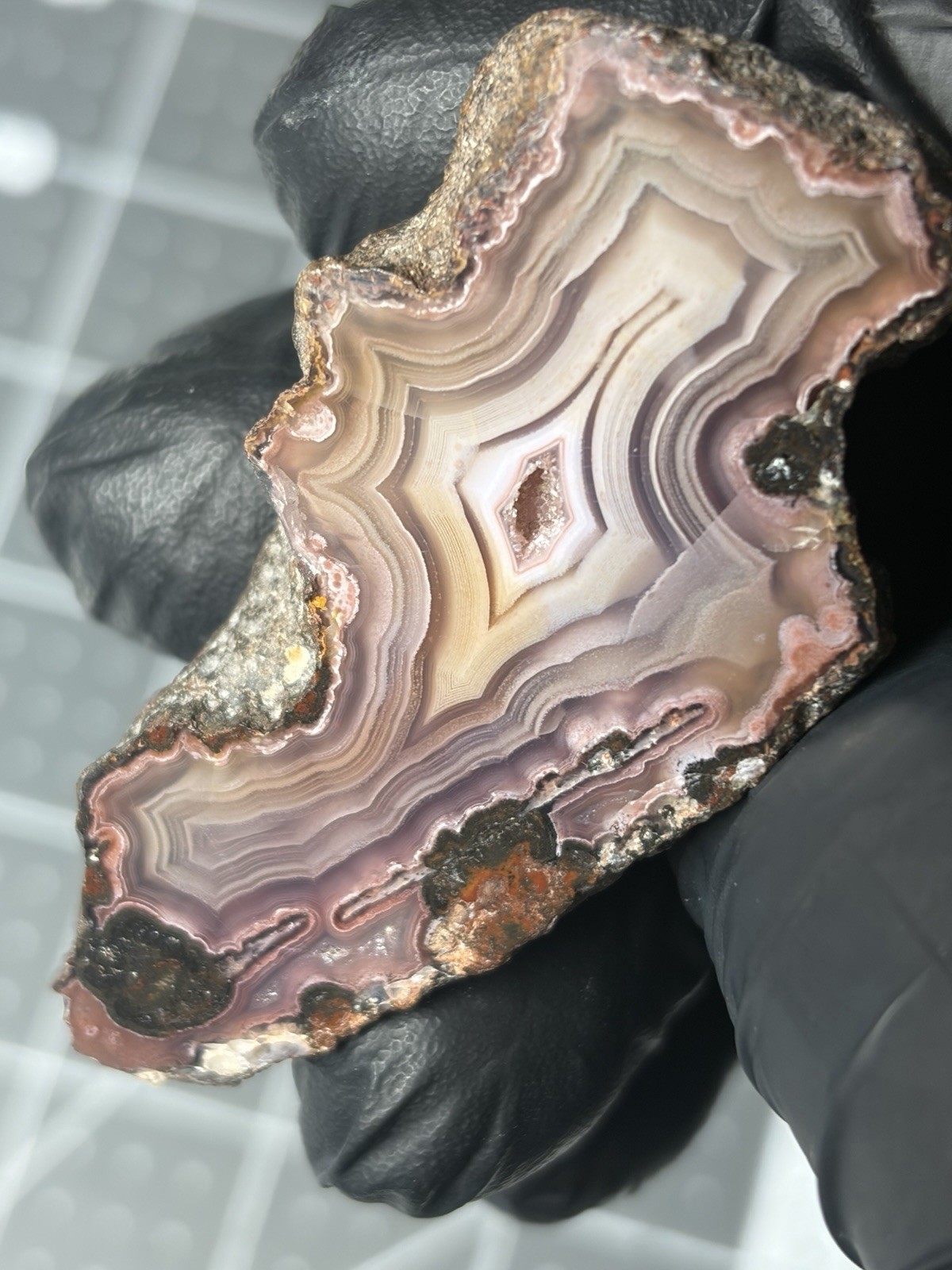 Excellent Purple Picacho Agate Mexico Banding Polished Specimen Laguna