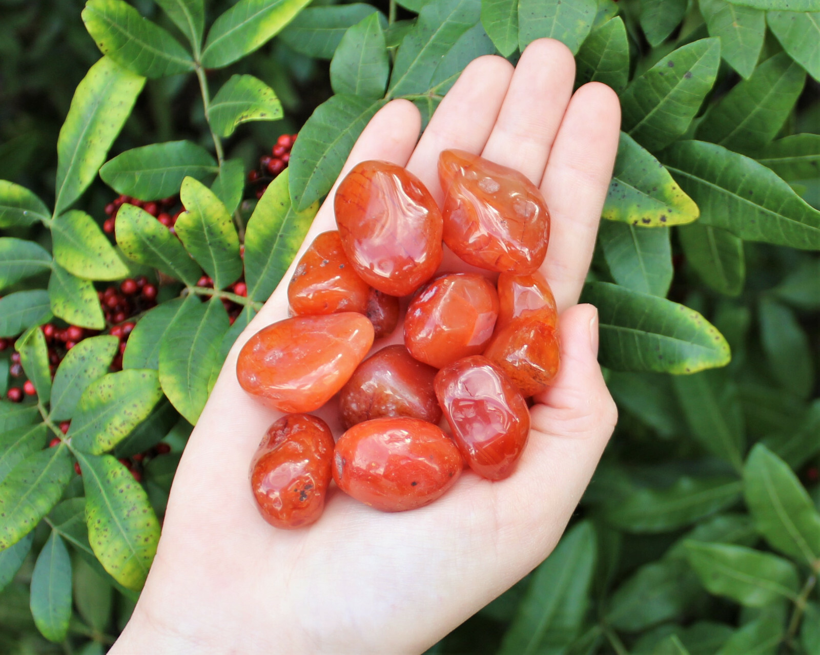 Carnelian Tumbled Stones, Medium : 5 lb Wholesale Bulk Lot