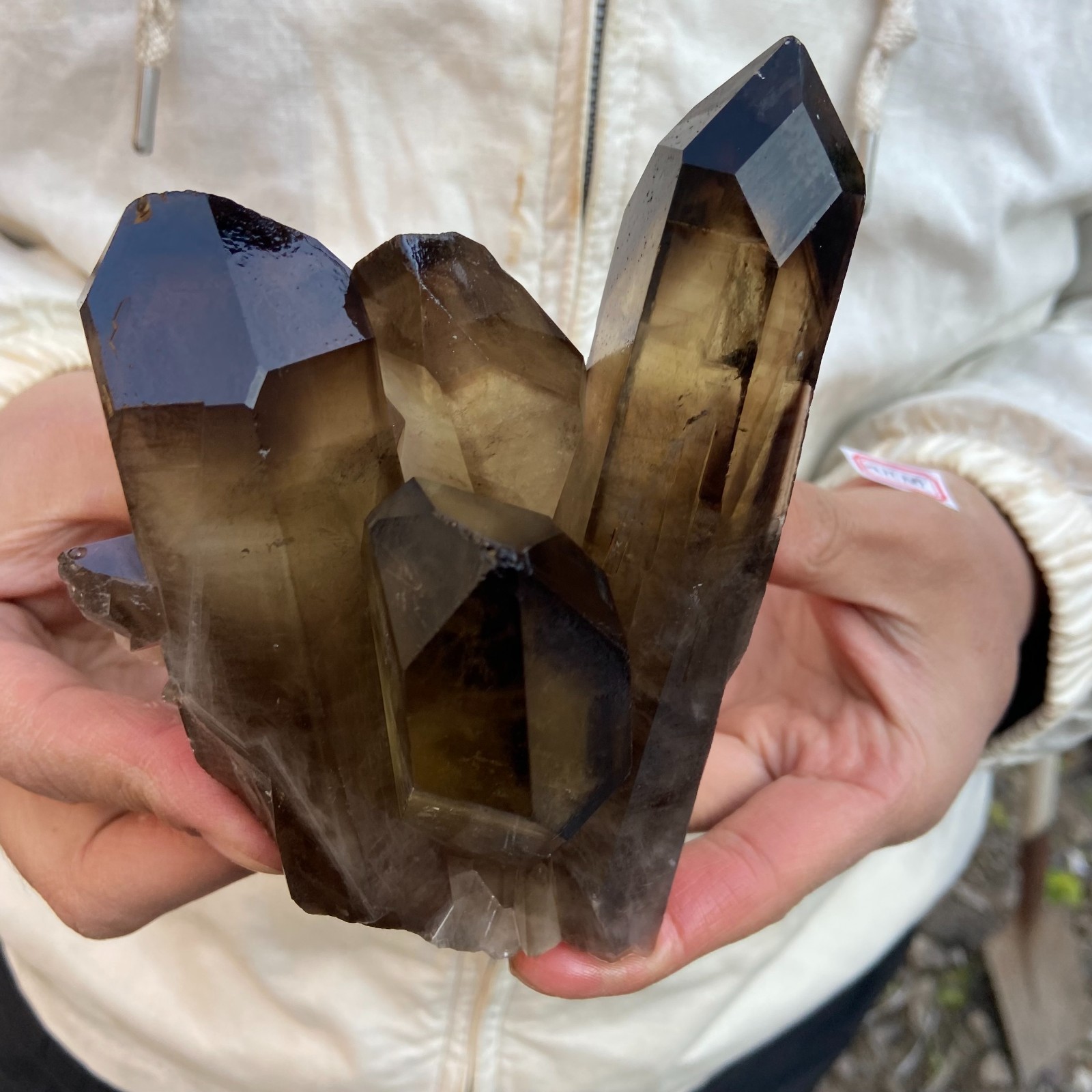 1.8LB Natural Smoky Black Quartz Cluster Crystal raw Specimen Healing