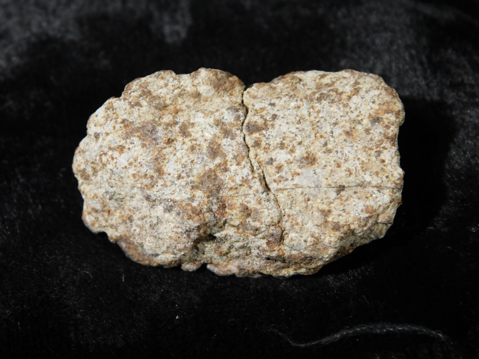 Classified NWA 8245 METEORITE Spots of Dark Fusion Crust! Erfoud, Morocco 21.0gr