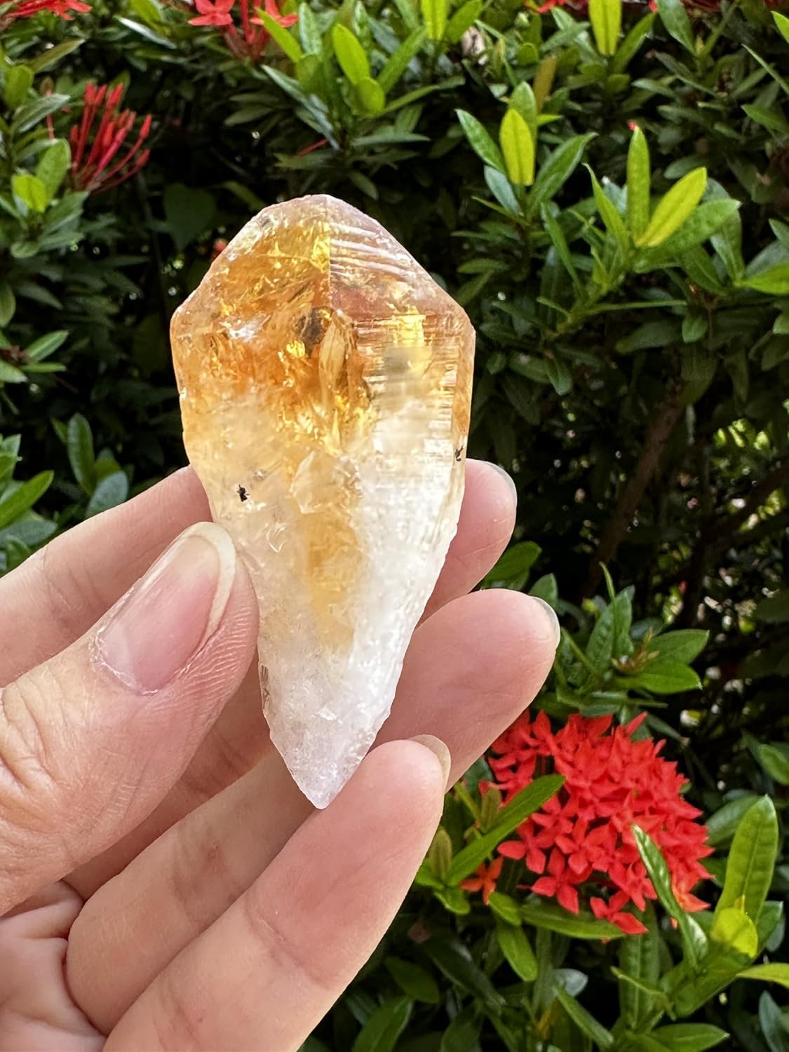 Extra Large Citrine Point, Natural Citrine Point, Citrine Point Healing Crystals
