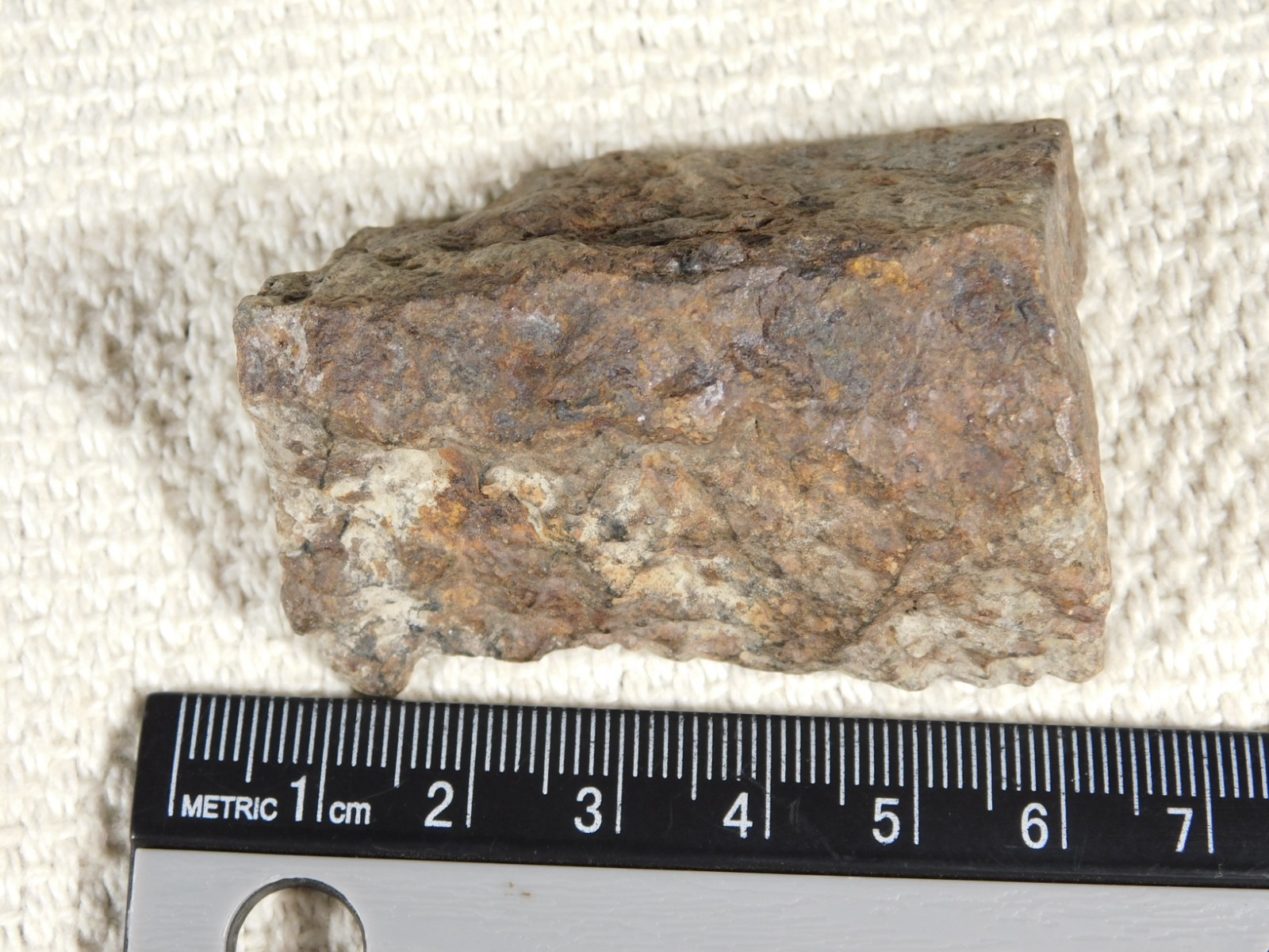 Classified NWA 8245 METEORITE 100% Natural FELL on Erfoud, Morocco 92.7gr