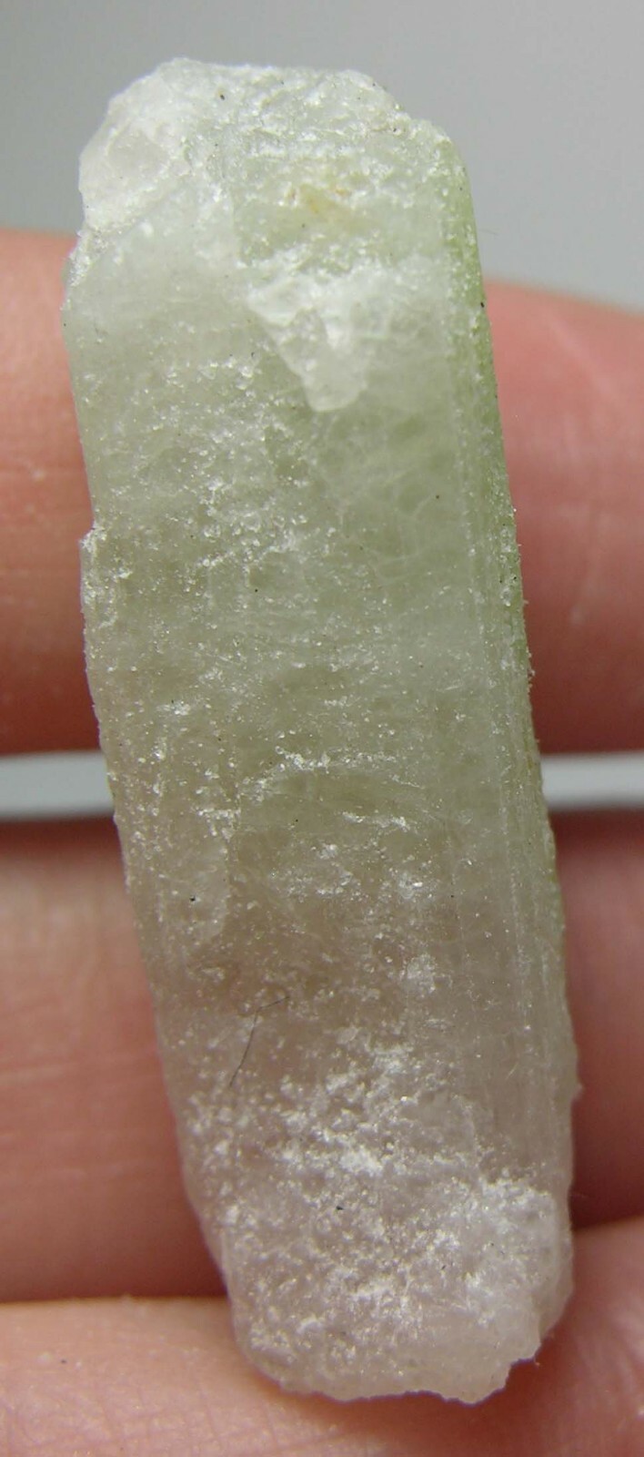 52.40ct Brazil 100% Natural Bi-Color Tourmaline Crystal Specimen 10.50g 37.00mm