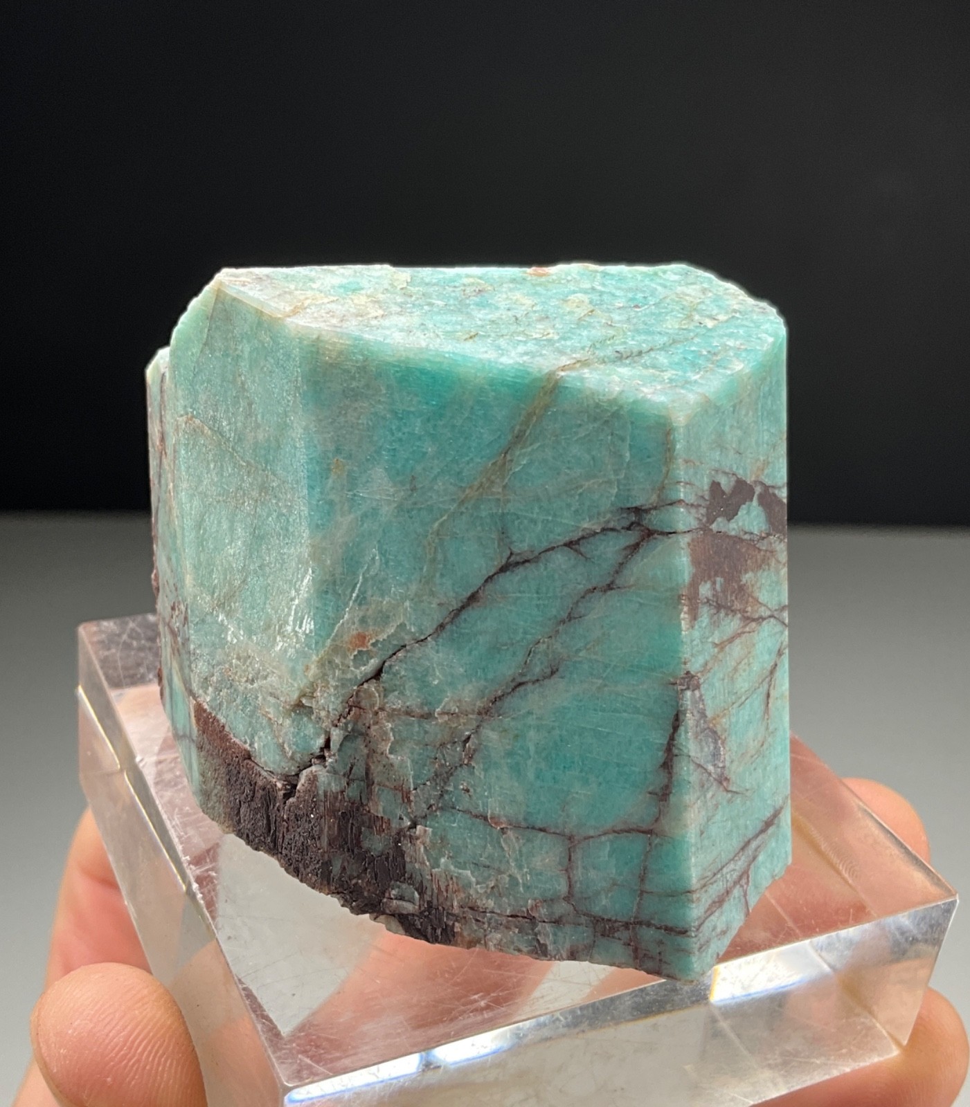 XL MICROCLINE VAR. AMAZONITE FROM LAKE GEORGE, COLORADO