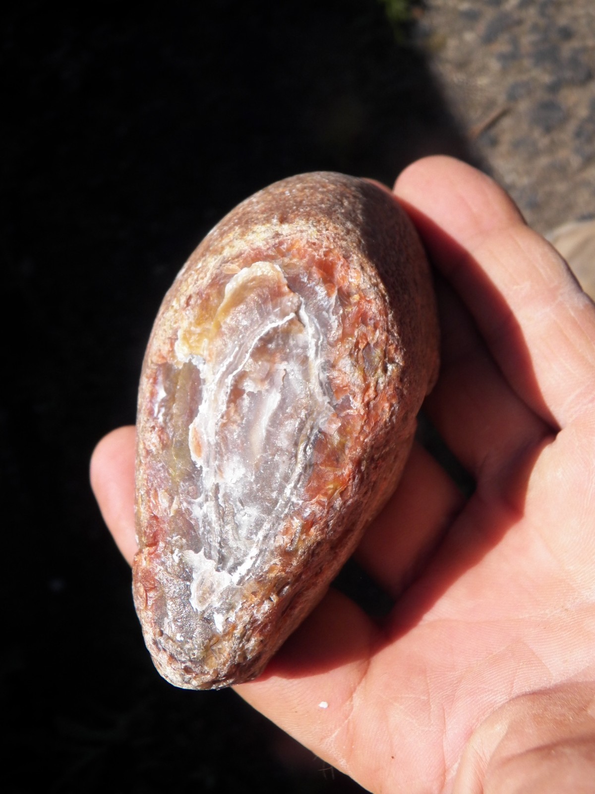 Liesegang East Timor agate geode collector specimen mirror polished super A+
