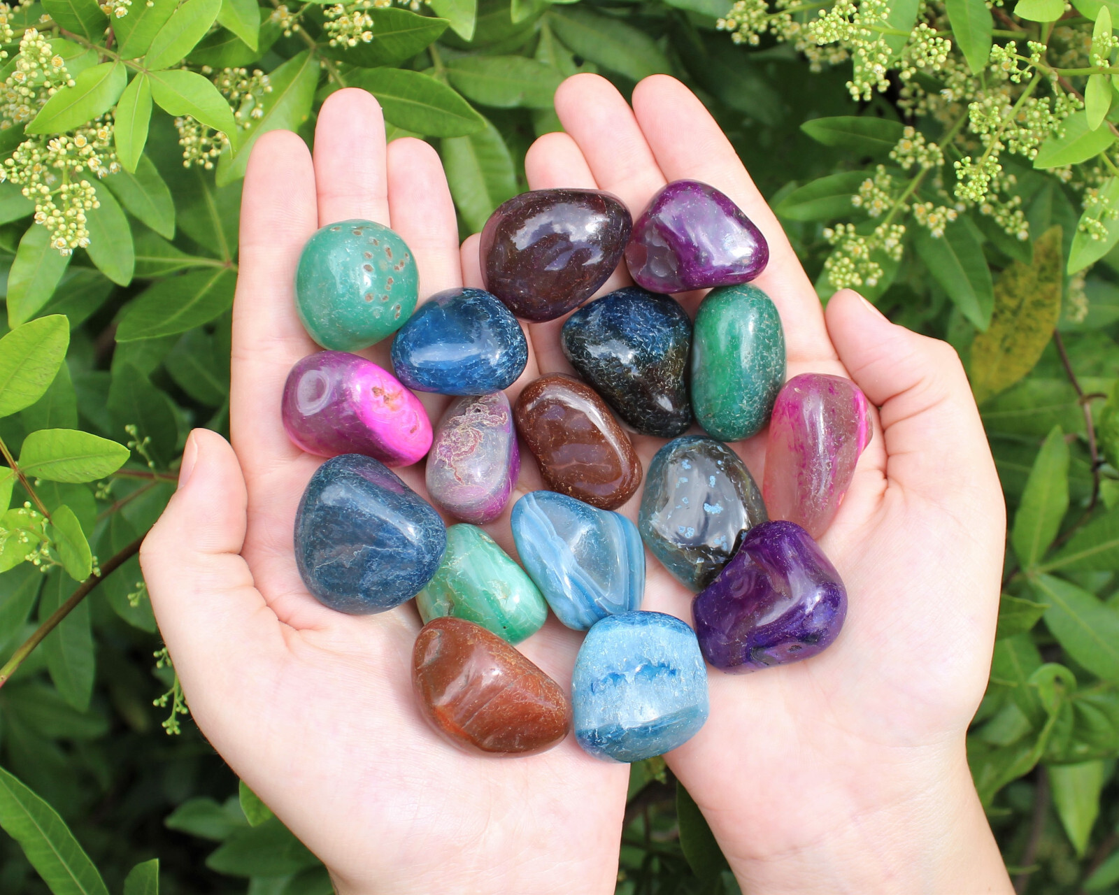 Dyed Tumbled Stones: Bright Colorful Mixed Agate Assorted Gemstone 500 Carat Lot