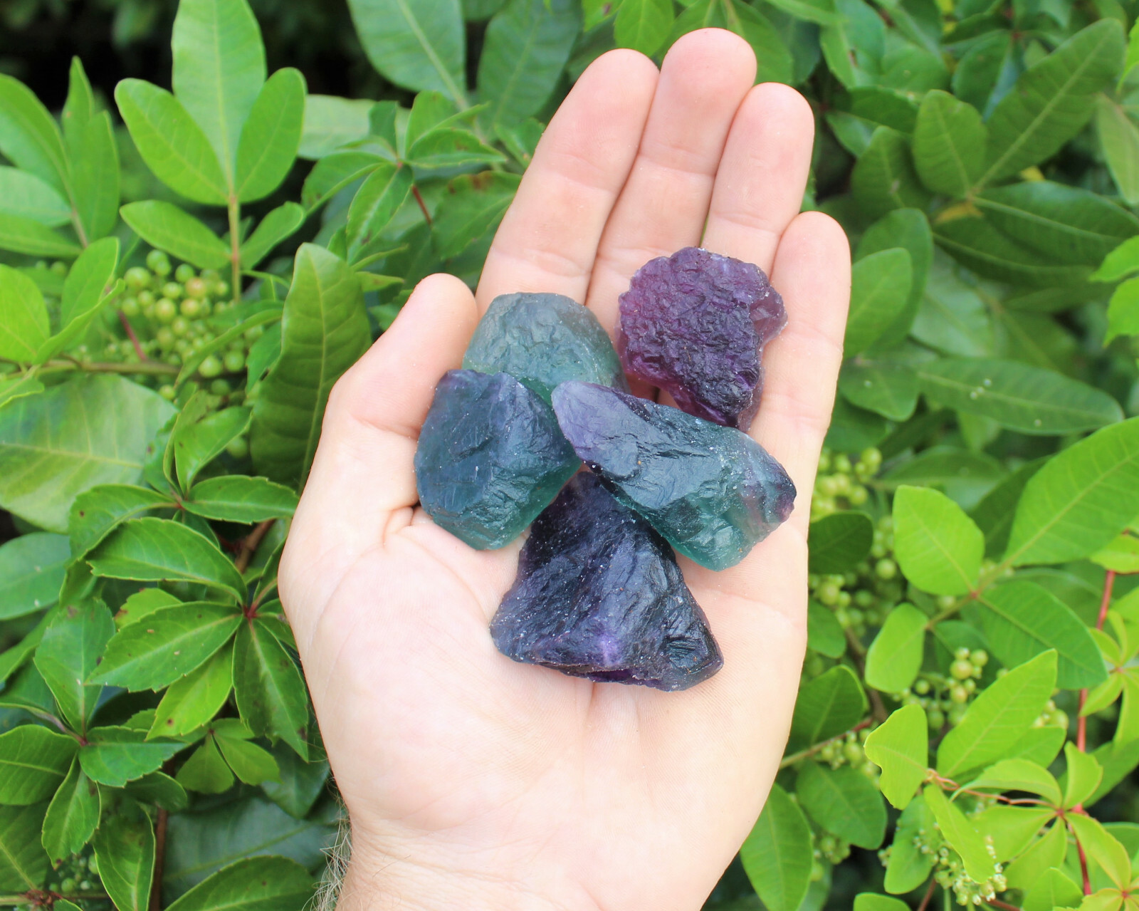 2 lb Bulk Lot Natural Rough Fluorite (Crystal Healing Raw Rock Mineral)