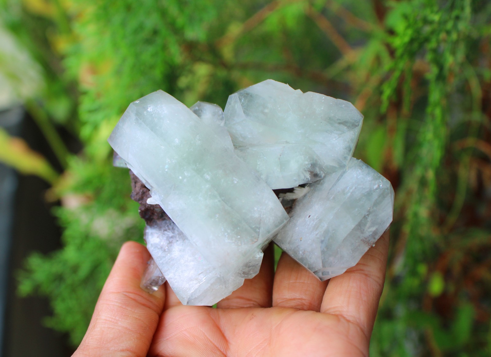 GREEN APOPHYLLITE CRYSTALS MINERALS SPECIMEN