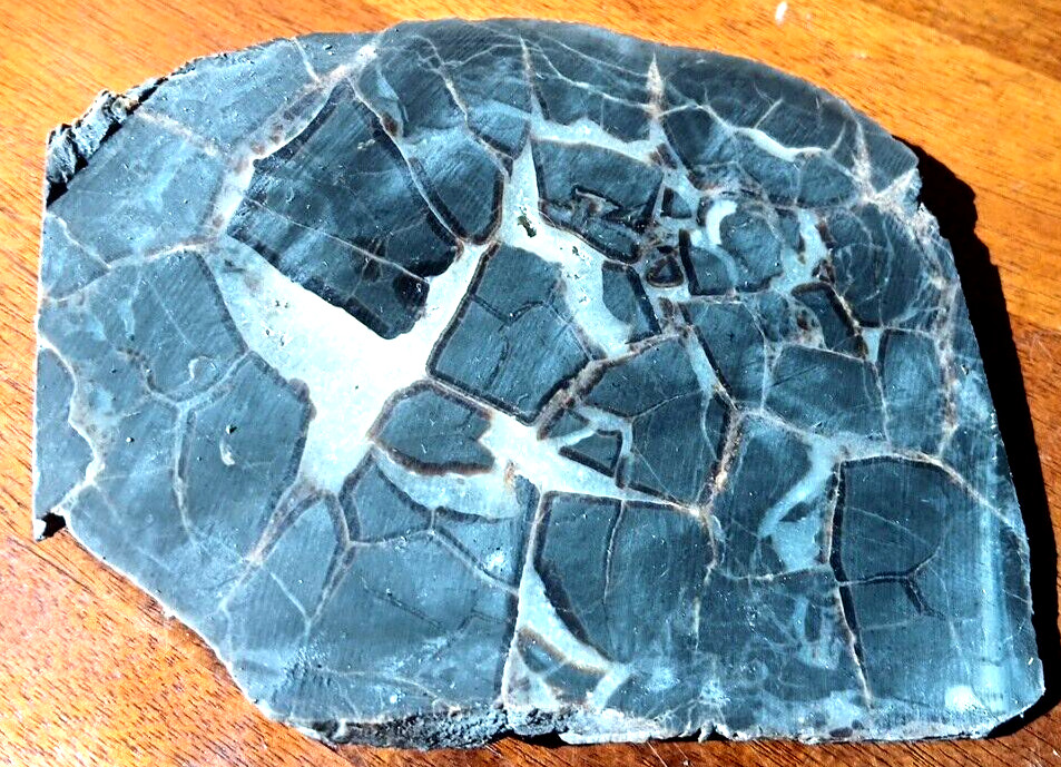 Septarian Nodule UV Reactive End Cut Display Crystal Specimen Glows Purple