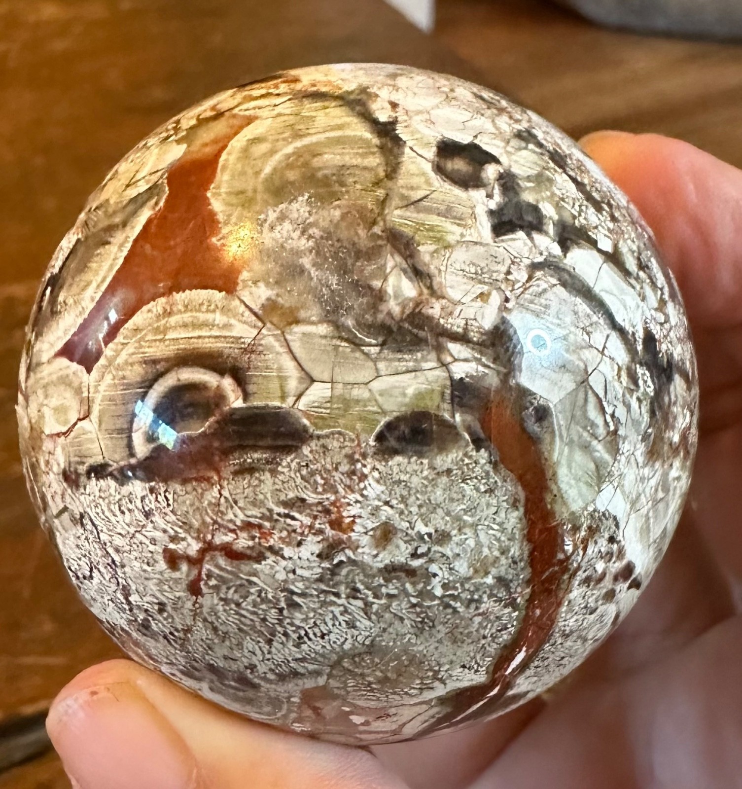 Colorful Money agate crystal sphere with brown resin petal stand free shipping