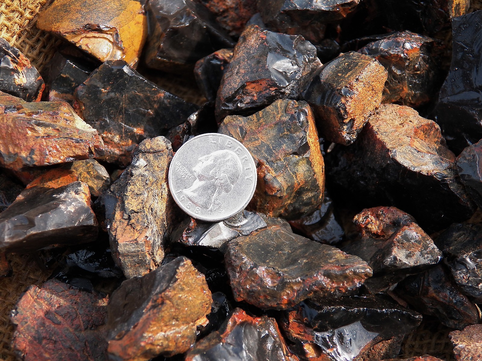 500 Carat Lots of Black Onyx Rough – Plus a Very Nice FREE Faceted Gemstone