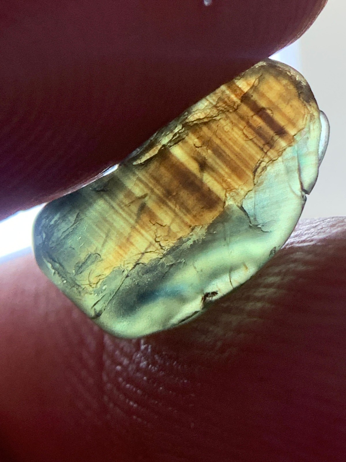 2.45 Crts Natural Stunning Bi Green Brown color Teal Sapphire rough @madagascar