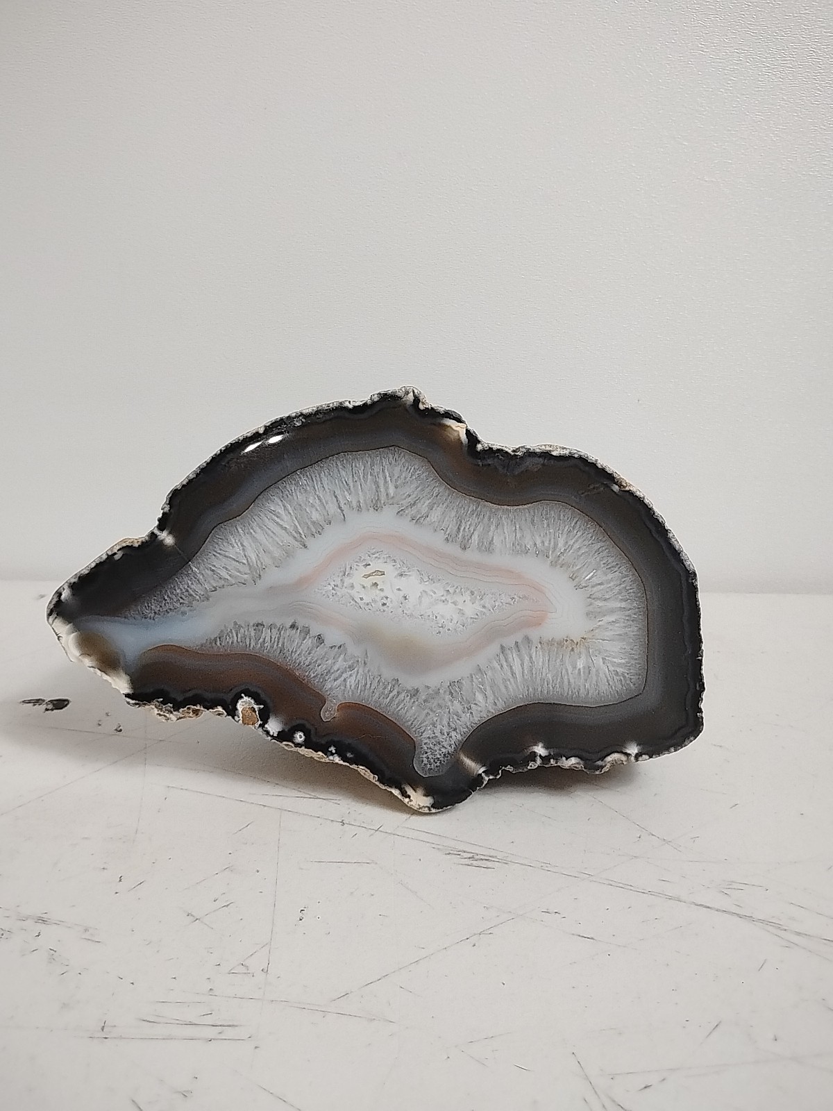 Geode Half Cut and Polished Origin Unknown White/Brown/Dark Brown – SEE PICS!!!